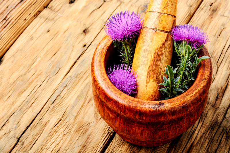 квітки розторопші у ступці