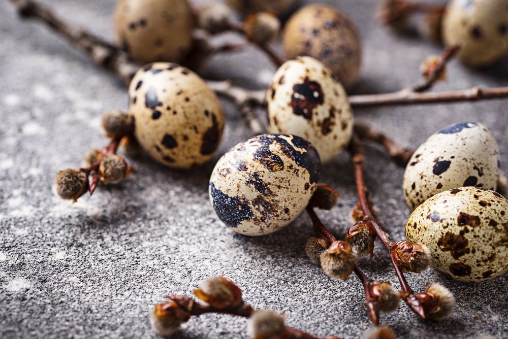 Перепелині яйця