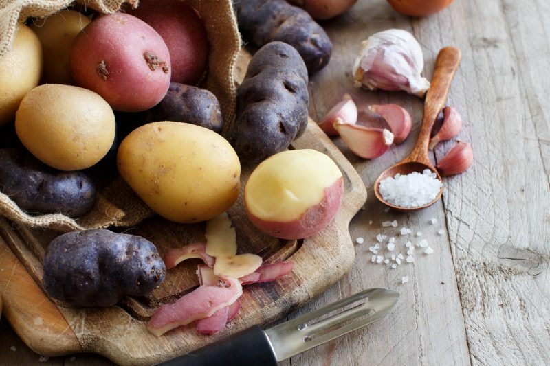 Вибір сортів картоплі