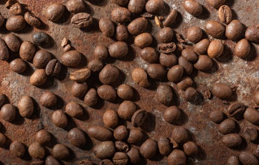 Стенофіла: що відомо про рідкісний сорт кави, який знову з’явився на ринку