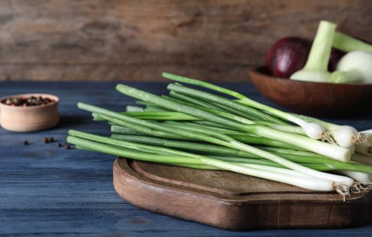 Неоціненний суперфуд весни. Користь зеленої цибулі, заради якої її варто додати в раціон