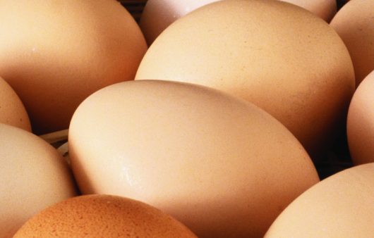 Яйця проти хвороби Альцгеймера: несподіване відкриття вчених