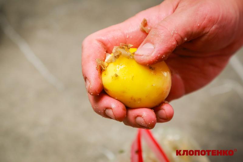Результат чищення сіллю