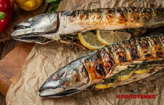 скумбрія на мангалі