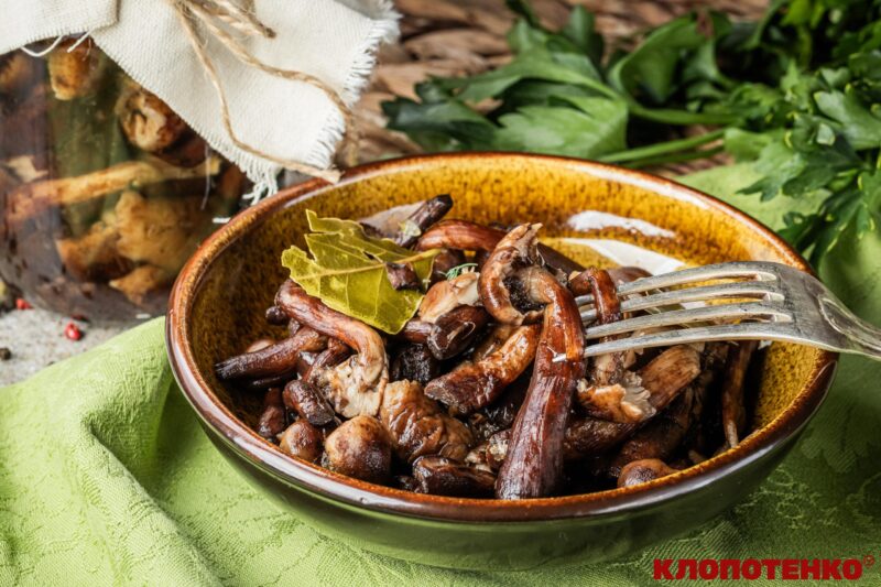 Мариновані опеньки на зиму 